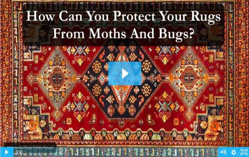 RugVideos Moth And Bug Protection